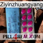 Ziyinzhuangyang 35